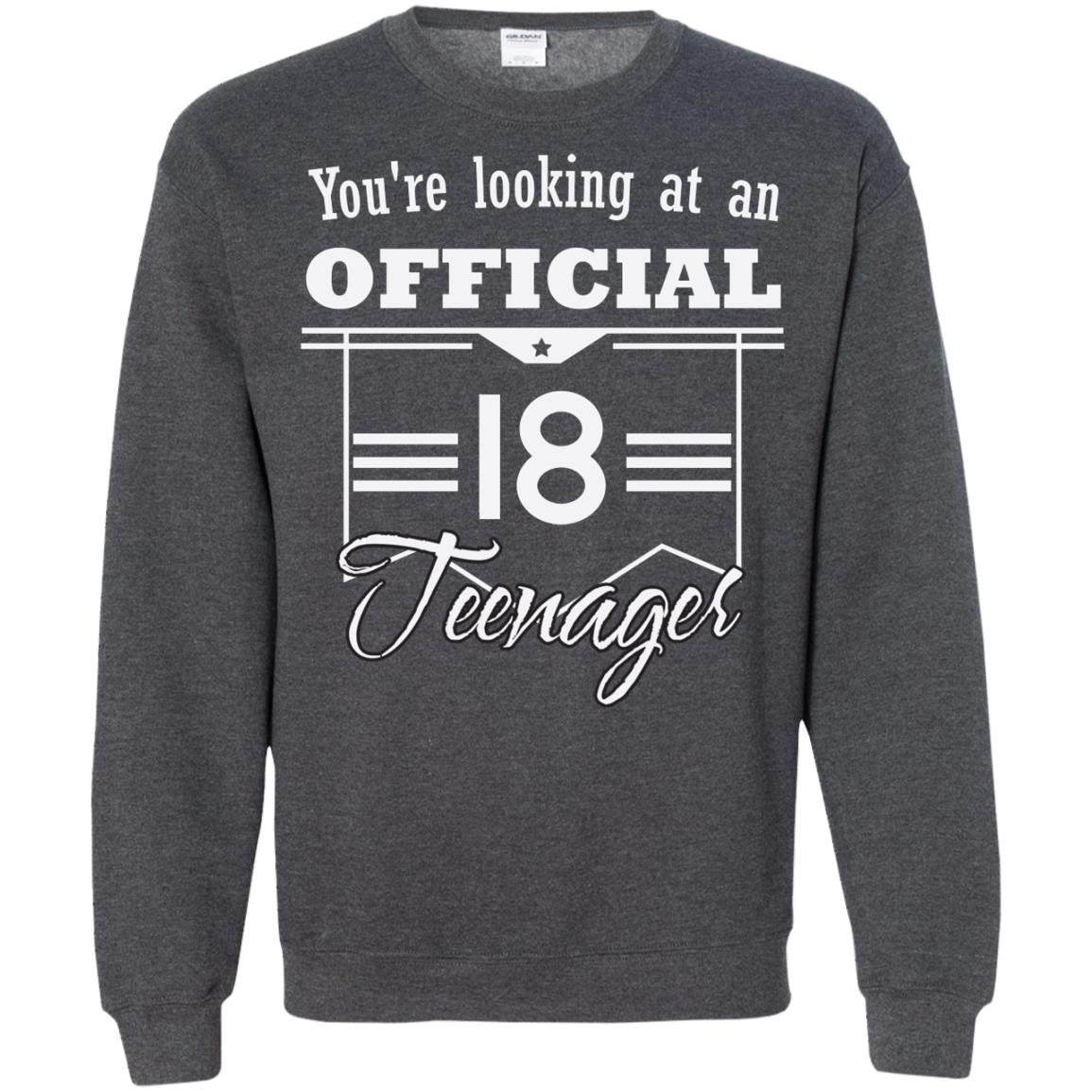 You're Looking At An Official 18 Teenager 18th Birthday Shirt Dark Heather