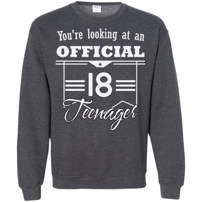 You're Looking At An Official 18 Teenager 18th Birthday Shirt Dark Heather