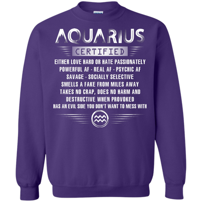 Aquarius Certified Either Love Hard Or Hate Passionately Powerful Af T-shirt