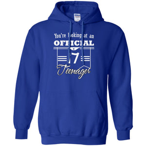 You're Looking At An Official 17 Teenager 17th Birthday ShirtG185 Gildan Pullover Hoodie 8 oz.