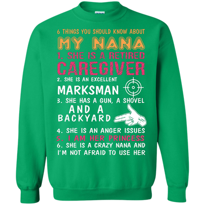Family T-Shirt 6 Things You Should Know About My Nana Irish Green