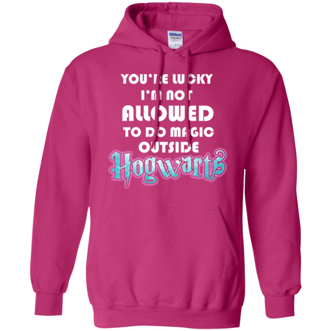 You're Lucky Im Not Allowed To Do Magic Outside Hogwarts Harry Potter Fan T-shirtG185 Gildan Pullover Hoodie 8 oz.