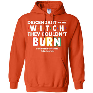 Descendant Of The Witch They Couldn_t Burn #traditionsherbschool #stpetepride Lgbt Shirt