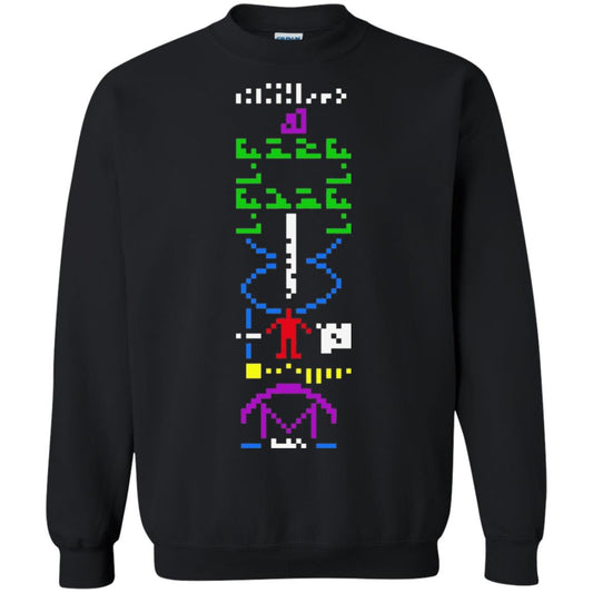 Astronomer T-shirt 1974 Arecibo Message Cool Space Exploration Black
