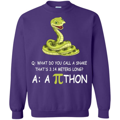 What Do You Call A Snake That's 3.14 Meters Long Shirt Purple
