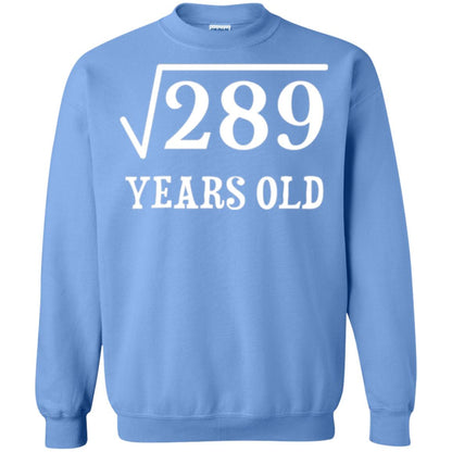 Brithday T-shirt Square Root Of 289 Carolina Blue