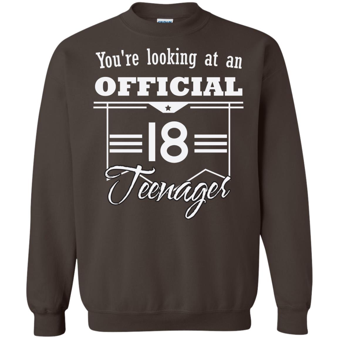 You're Looking At An Official 18 Teenager 18th Birthday Shirt Dark Chocolate