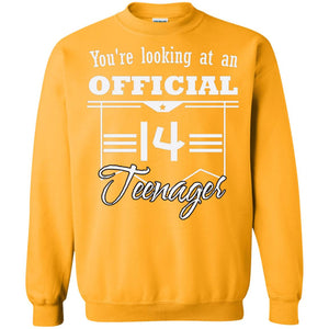 You're Looking At An Official 14 Teenager 14th Birthday ShirtG180 Gildan Crewneck Pullover Sweatshirt 8 oz.