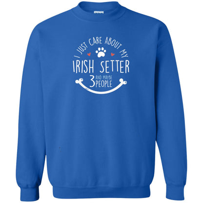 I Just Care About Irish Setter Dog Owners T-shirt Royal