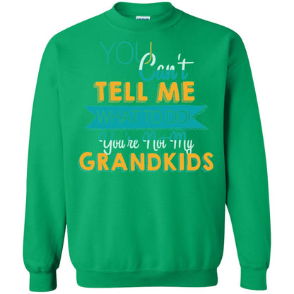You Can't Tell Me What To Do You're Not My Grandkids Grandparents Gift Tshirt Irish Green
