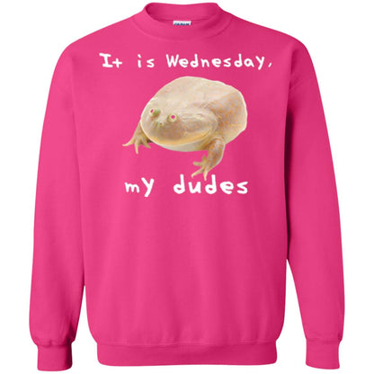Funny Frog T-shirt It Is Wednesday My Dudes Heliconia