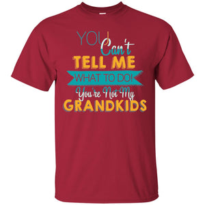 You Can't Tell Me What To Do You're Not My Grandkids Grandparents Gift Tshirt