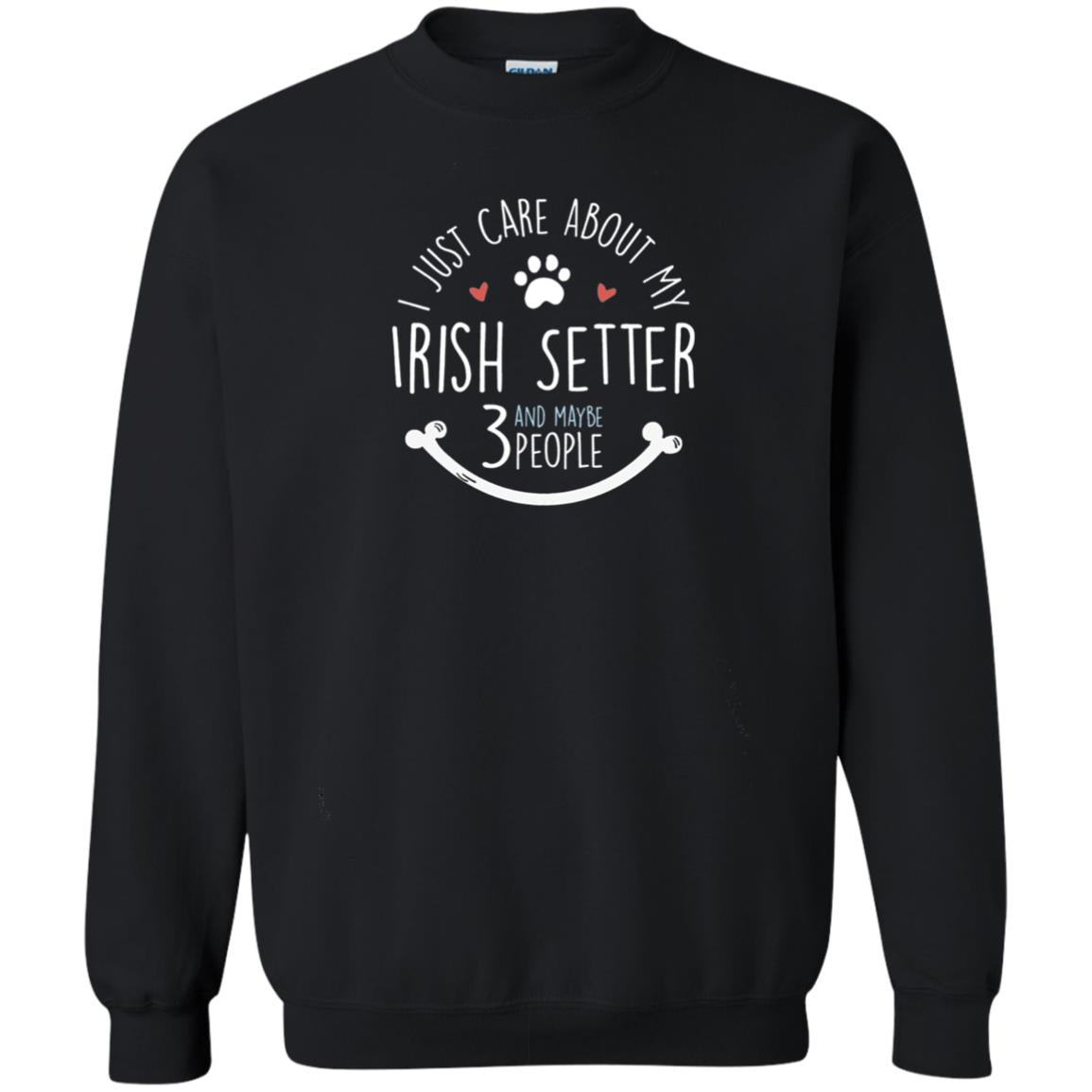 I Just Care About Irish Setter Dog Owners T-shirt Black