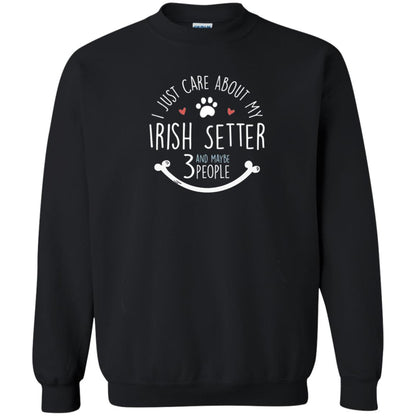 I Just Care About Irish Setter Dog Owners T-shirt Black