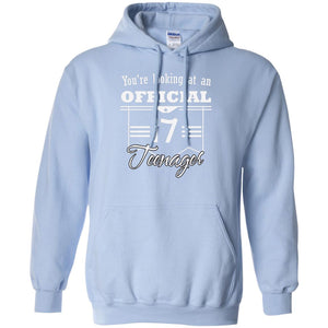 You're Looking At An Official 17 Teenager 17th Birthday ShirtG185 Gildan Pullover Hoodie 8 oz.