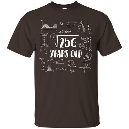 Square Root Of 256 16th Birthday 16 Years Old Math T-shirt Dark Chocolate