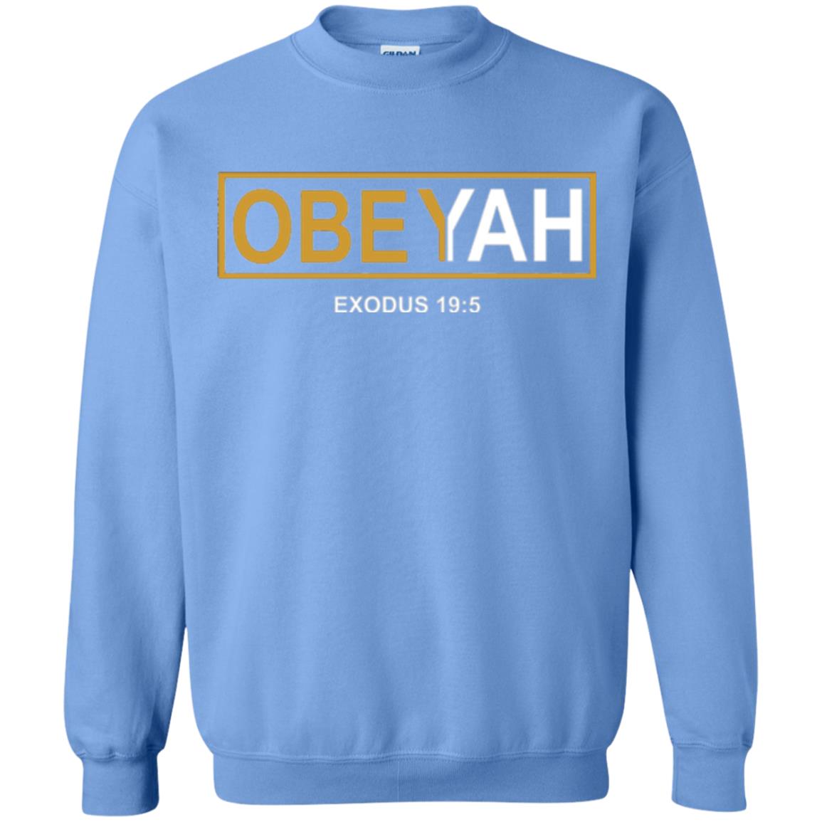 Yahweh Yahshua Yeshua Torah Hebrew Roots Movement T-shirt Carolina Blue