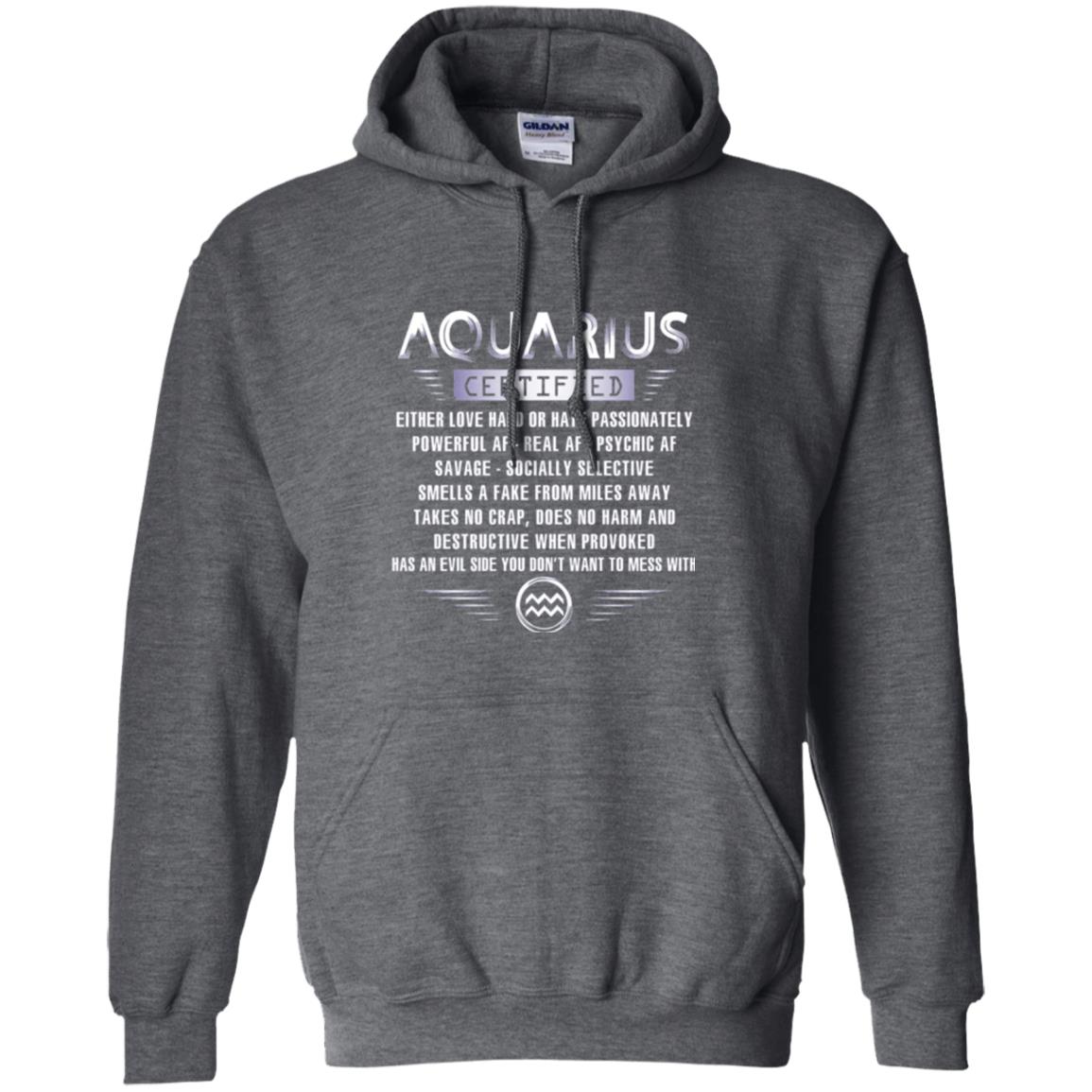 Aquarius Certified Either Love Hard T-shirt Dark Heather