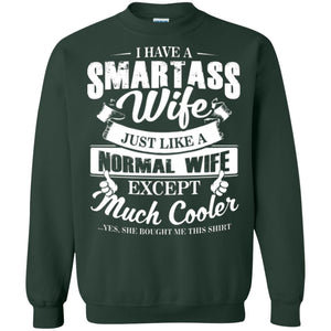 I Have A Smartass Wife Just Like Anormal Wife Except Much Cooler