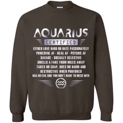 Aquarius Certified Either Love Hard T-shirt Dark Chocolate