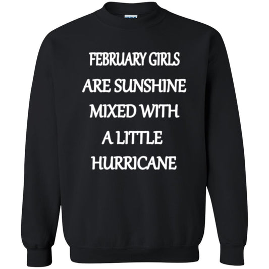 February Girls Are Sunshine Mixed With A Little Hurricane T-shirt Black