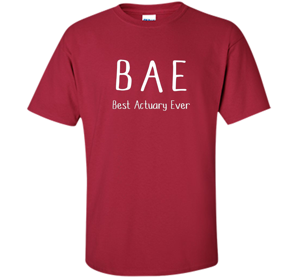 BAE Best Actuary Ever Tshirt funny work job humor shirt shirt Cardinal