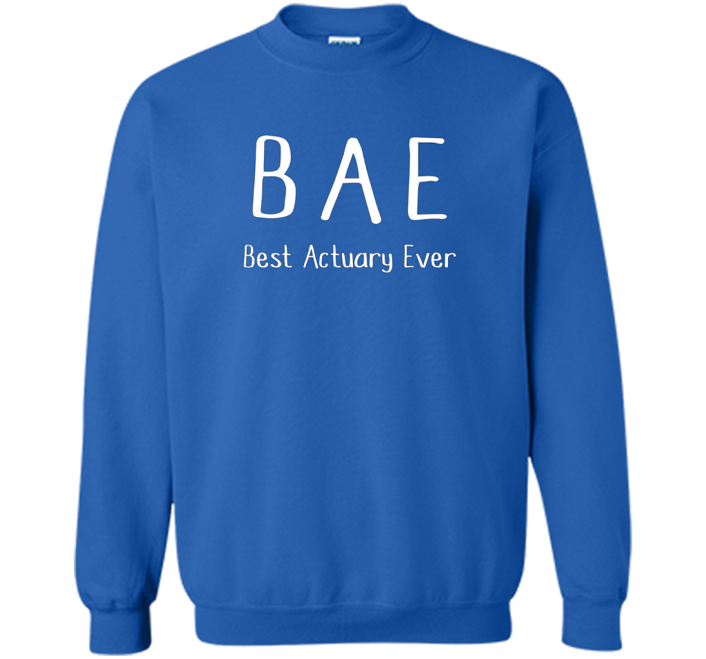 BAE Best Actuary Ever Tshirt funny work job humor shirt shirt Royal