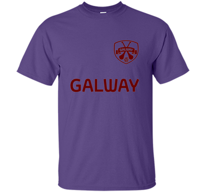 County Galway Hurling All Ireland 2017 Champions t-shirt Purple