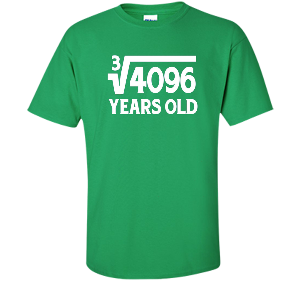 Funny Math Geek 16th Birthday Cube Root T-Shirt 16 Year Old shirt Irish Green