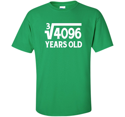 Funny Math Geek 16th Birthday Cube Root T-Shirt 16 Year Old shirt Irish Green