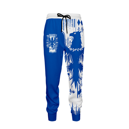 Quidditch Ravenclaw Harry Potter Jogging Pants