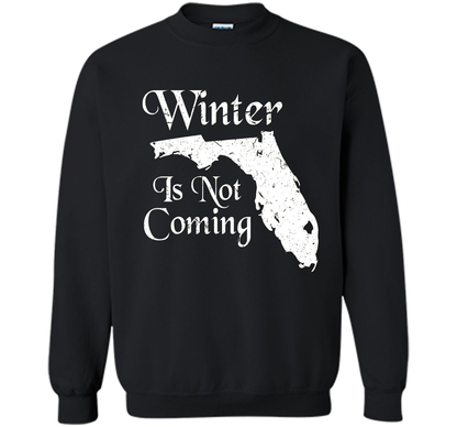 Florida T-shirt Winter Is Not Coming Black