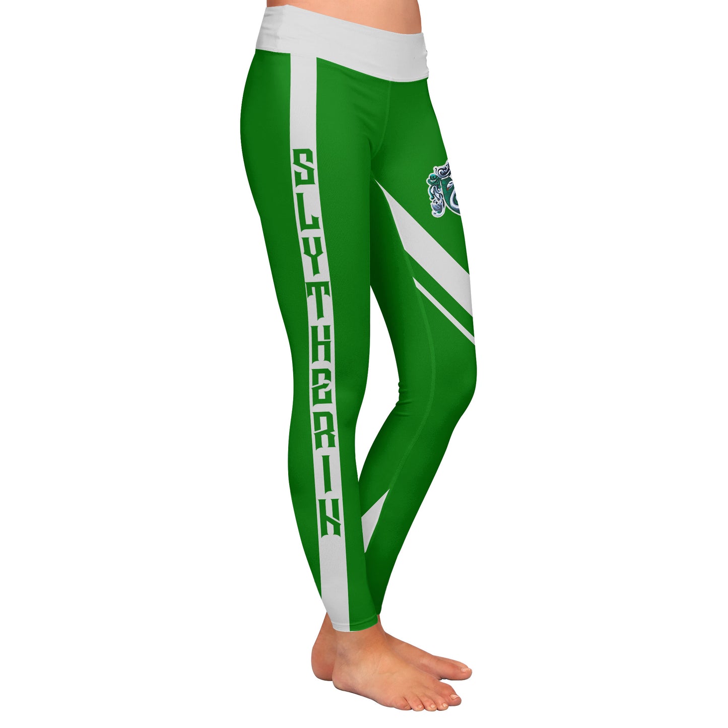 Slytherin House (Harry Potter) 3D Leggings