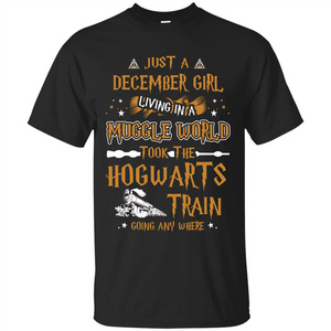 Harry Potter T-shirt Just A December Girl Living In A Muggle World