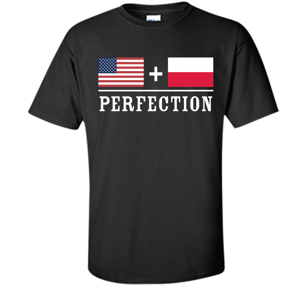 American + Polish = Perfection Flag T-Shirt shirt Black