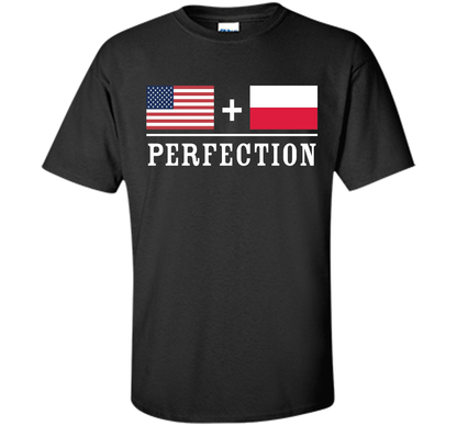 American + Polish = Perfection Flag T-Shirt shirt Black