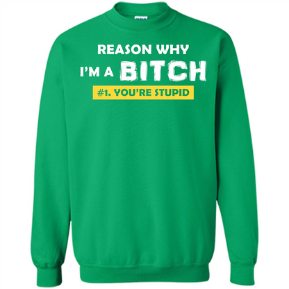 Funny T-shirt Reason Why I'm A Bitch, You're Stupid Irish Green