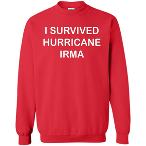 I Survived Hurricane Irma T-shirt