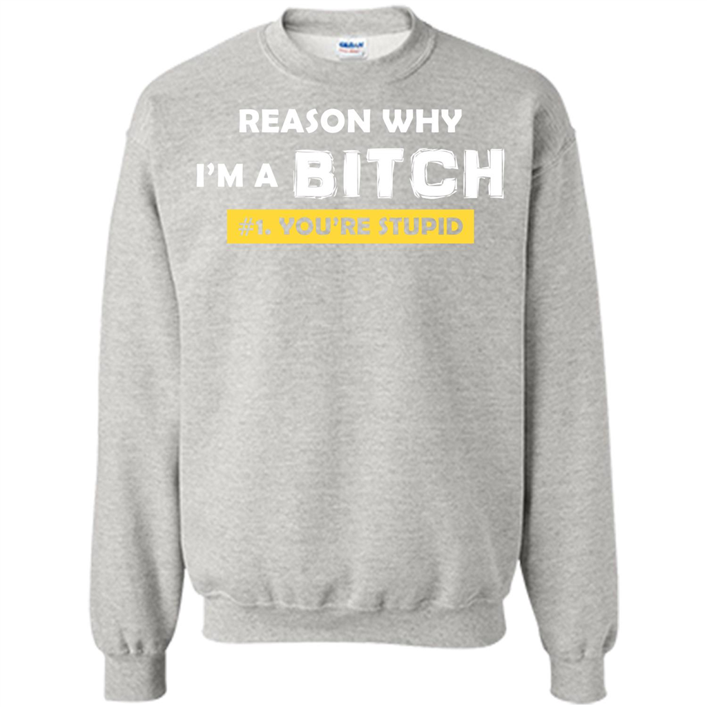 Funny T-shirt Reason Why I'm A Bitch, You're Stupid Ash