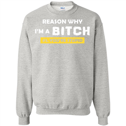 Funny T-shirt Reason Why I'm A Bitch, You're Stupid Ash