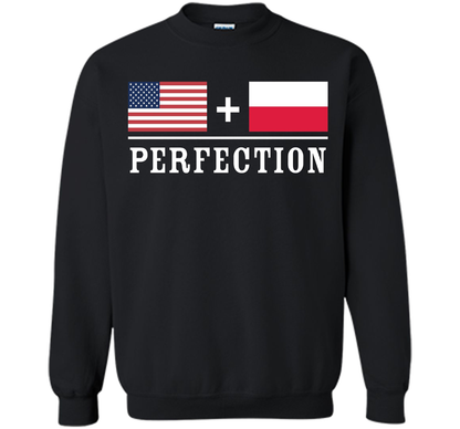 American + Polish = Perfection Flag T-Shirt shirt Black