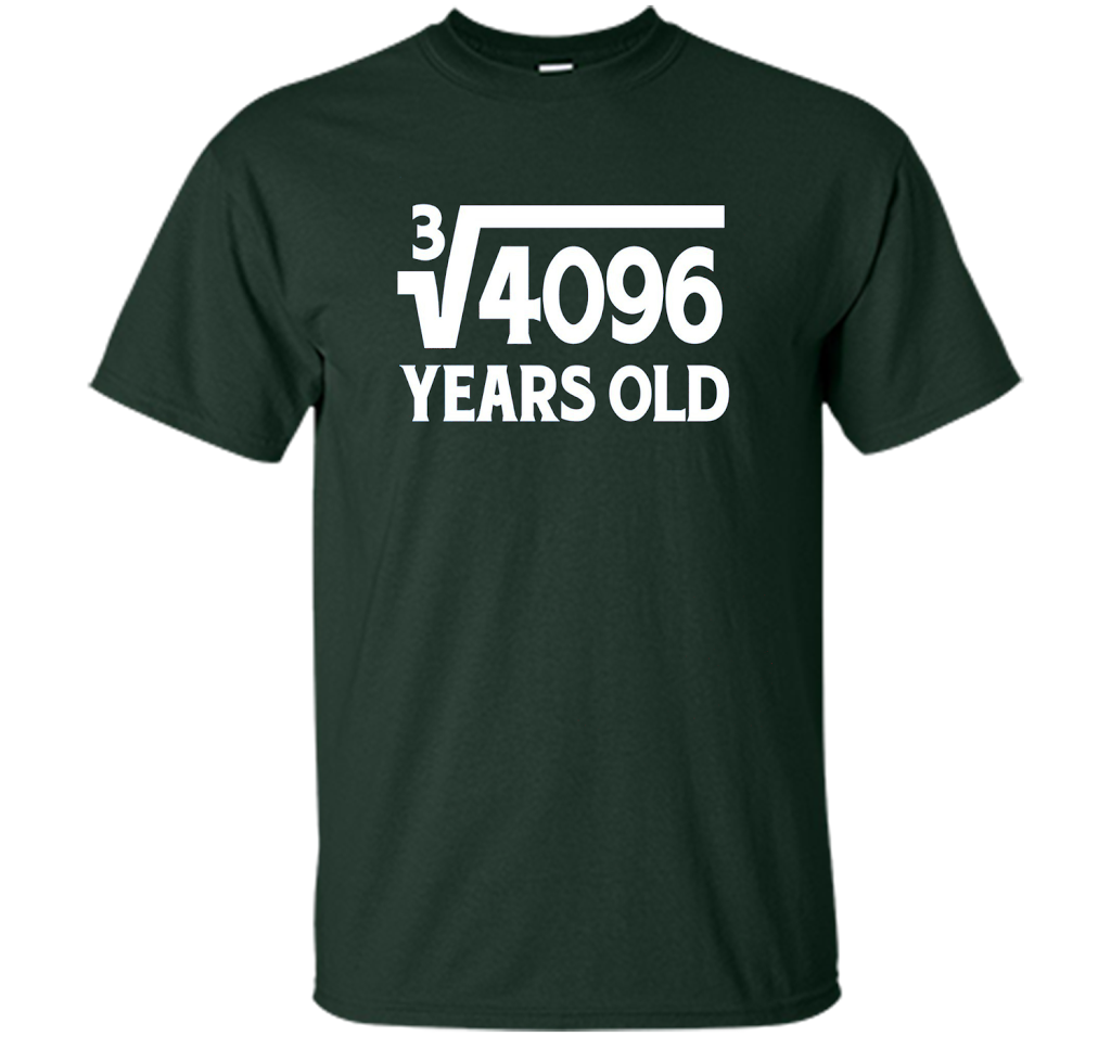 Funny Math Geek 16th Birthday Cube Root T-Shirt 16 Year Old shirt Forest Green