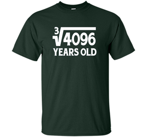 Funny Math Geek 16th Birthday Cube Root T-Shirt 16 Year Old shirt