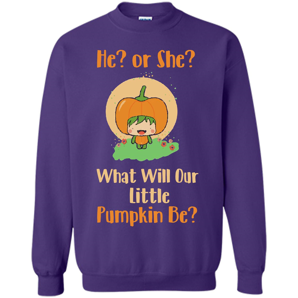 Halloween T-shirt What Will Our Little Pumpkin Be T-shirt