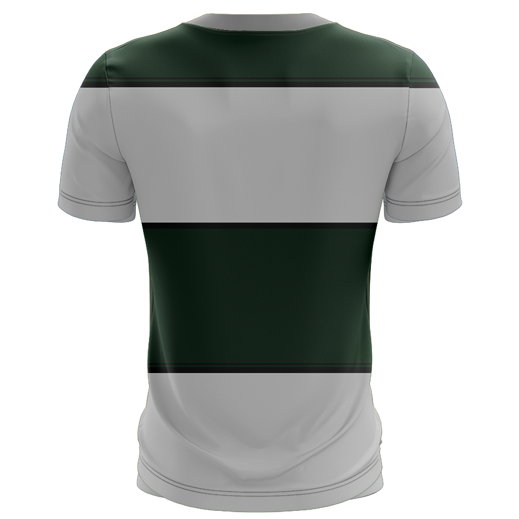 Striped Slytherin Harry Potter New Unisex 3D T-shirt