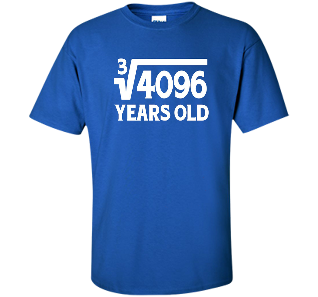 Funny Math Geek 16th Birthday Cube Root T-Shirt 16 Year Old shirt Royal