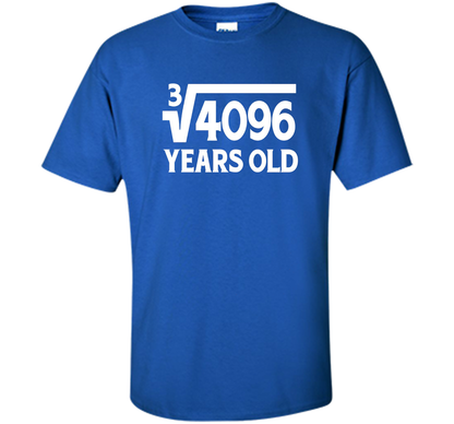 Funny Math Geek 16th Birthday Cube Root T-Shirt 16 Year Old shirt Royal