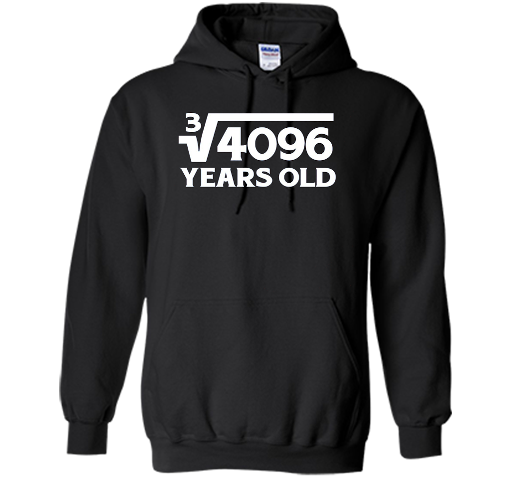 Funny Math Geek 16th Birthday Cube Root T-Shirt 16 Year Old shirt Black