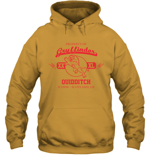 Property Of Gryffindor Quidditch Harry Potter Hoodie