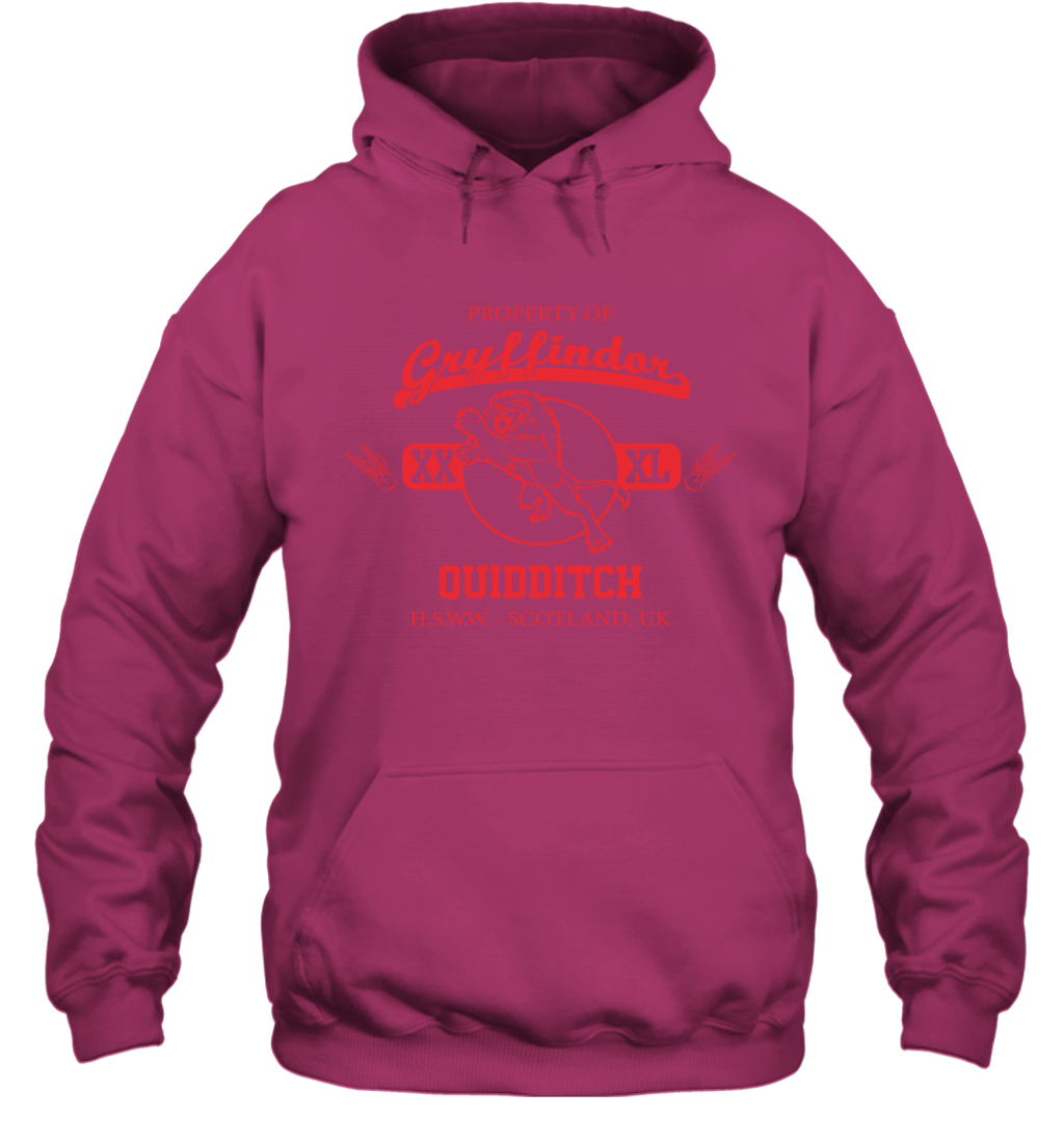 Property Of Gryffindor Quidditch Harry Potter Hoodie